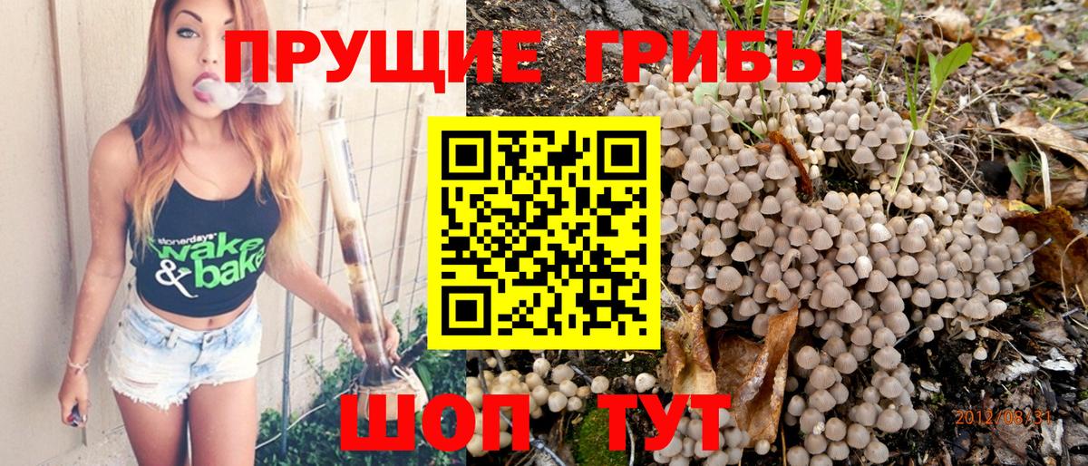 Псилоцибиновые грибы MAGIC MUSHROOMS  Вход с VPN  Березники 